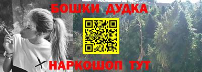 индика Комсомольск-на-Амуре